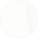 SWAN WHITE (Білий лебединий)